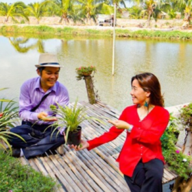 Cô Mai Lan